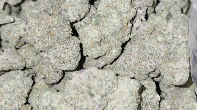 Golden State Banana - 1